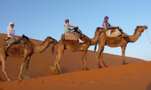 private 8 days Casablanca tour to explore Imperial cities,7,8,9 days tour from Casablanca to desert