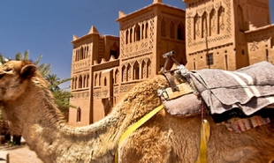 private 5 days tour from Casablanca to desert,Casablanca 4,5,6 days culture tour from Casablanca