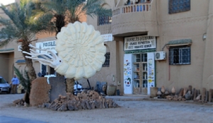 Morocco Fossils and minerals tours,Casablanca fossil tours,Marrakech fossil tours