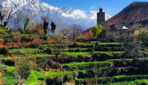 Day trips in Morocco,private Marrakech day trips,Marrakech exursions,Casablanca day trips