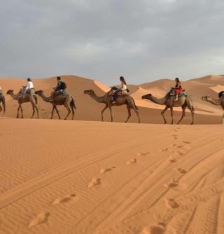 Camel Trek in desert Merzouga + 1 night in desert camp