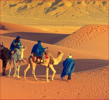 All Over Morocco Tours,private Marrakech tours,private Casablanca tours to desert