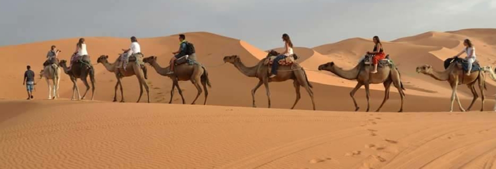 Camel Trek in desert Merzouga + 1 night in desert camp