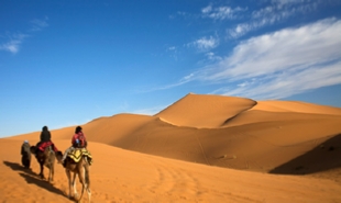 private 14 days Grand Morocco tour from Casablanca,13,14,15 days Casablanca Imperial cities tour