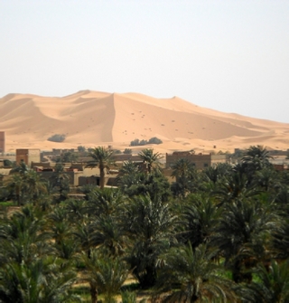 10 days fossils and minerals tour from Casablanca,adventure Fossil Morocco tour,Morocco Mineral tour