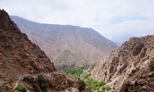 private day trip from Marrakech to Ourika valley,Marrakech full-day excursion to Atlas mountains