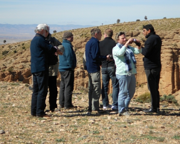 Morocco Fossils and minerals tours,Casablanca fossil tours,Marrakech fossil tours