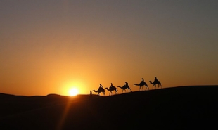 Camel Trek in desert Merzouga,Merzouga camel trip and 1 night in desert camp